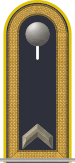 Dienstgradabzeichen auf der Schulterklappe der Jacke des Dienstanzuges für Luftwaffenuniformträger.