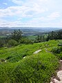 View from hilltop overlooking Wadi es-Ṣur, an extension of the Elah Valley in Israel