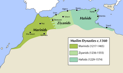 The Marinid Sultanate circa 1360[1]