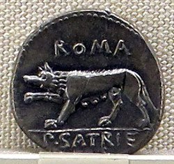 A she-wolf on a Roman coin from circa 77 BCE. The Roman Republic and Empire's currency was used from the middle of the third century BC until the middle of the third century AD.