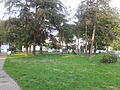 View on Rosalie Morton Park