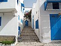 Alley of Sidi Bou Saïd