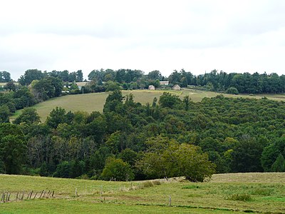 Das ins Grundgebirge eingetiefte Tal der Rochille in der Nähe des Ortskerns