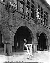 Fallen statue of zoologist Louis Agassiz after the 1906 San Francisco earthquake