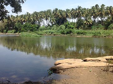 The view of Amaravathy River near the Arjuneswarar Temple in Kadathur