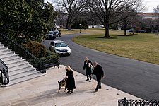 Champ and Major arrive at the White House in January 2021.