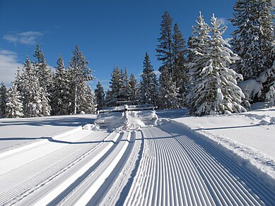Cross Country Ski Trail - Setting corduroy and classic tracks.