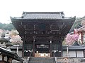 Portal (Niomon) des Tempels zur Zeit der Kirschblüte