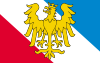 Flag of Prudnik County