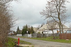 Houses by the road side