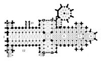 Plan of Wells Cathedral (begun 1175)