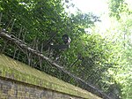 Boundary walls enclosing grounds and walls to Buckingham Palace gardens
