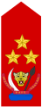Lieutenant-général (Land Forces of the DR Congo)