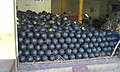 Watermelons with dark green rind, India