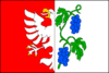 Flag of Miroslav