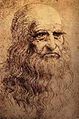 Probable self-portrait by Leonardo da Vinci, c. 1512–1515
