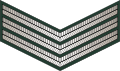 Sergeant (Sri Lanka Army)[81]