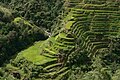 The Banaue Rice Terraces in Ifugao, Philippines.