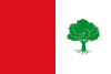 Flag of El Peral