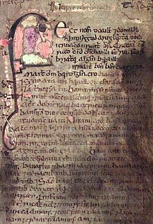 A page from a 12th century Irish manuscript