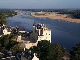 View of a castle overlooking a river. The castle, located at the bottom right of the image, is surrounded by greenery. In the background is more greenery, the river and faint modern structures.