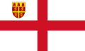 Flag of the Diocese of Newcastle