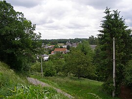 A general view of Dimont