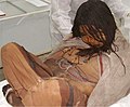 Image 1"The Maiden", one of the discovered Llullaillaco mummies, a preserved Inca human sacrifice from around the year 1500. (from Indigenous peoples of the Americas)