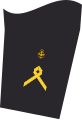 Navy Aviation Service (50th)