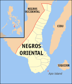 Map of Negros Oriental showing the location of Apo Island.