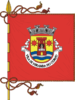 Flag of Miranda do Corvo