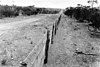 Photo of the Rabbit proof fence, taken in 1927
