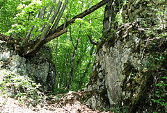 Bild 3: Bergseitiger Halsgraben unterhalb der Frontmauer