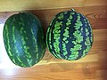 Watermelon grown in Buryatia, Siberia