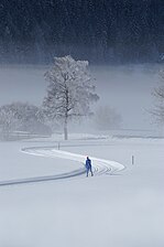 A recreational cross-country trail, groomed for classic skiing only, in Tyrol.