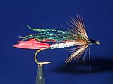 The Alexandra is a classic British lake fly