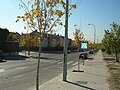 Avenida Condesa De Chinchon