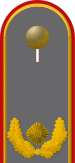 Dienstgradabzeichen auf der Schulterklappe der Jacke des Dienstanzuges für Heeresuniformträger