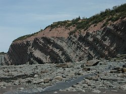 View of the Joggins Fossil Cliffs