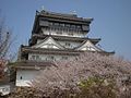 Cherry blossoms (sakura) and the keep of Kokura Castle, March 2002