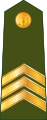 Seržants (Latvian Land Forces)[55]