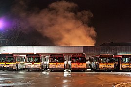 Buses preparing to depart for Moonlight Express