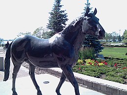 photograph of a large statue of a horse standing outside