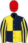 Dark blue and yellow quartered, striped sleeves, red cap