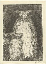 Owl with Two Chicks Sitting on Branch (1893), lithograph, 34.5 x 25 cm.