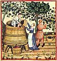 Rotweinherstellung im 14. Jahr­hundert (Tacuinum sanitatis, Bibliothèque nationale de France)