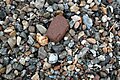 Steine am Ostsee-Strand