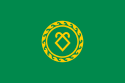 Flag of Askinsky District
