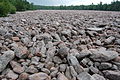 The boulder field at Hickory Run State Park in The Poconos.