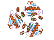 1zck: native structure prl-1 (ptp4a1)